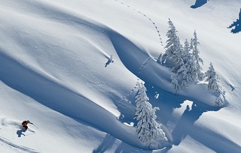 Kitzbueheler Alpen_Skifahrer bei der Tiefschnee Abfahrt_Freeriden