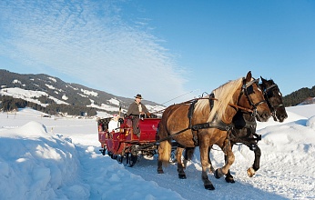 Pferdeschlittenfahrt_StefanEisend_TVB_Brixental_DSC4050